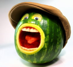 Funny Food Pictures